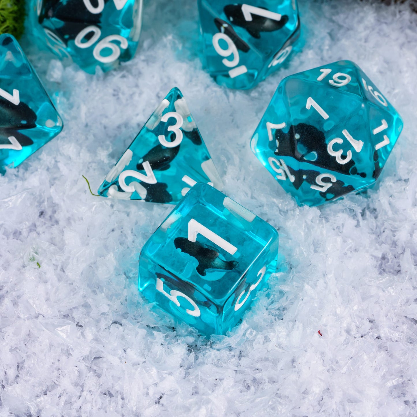 Transparent Black Shark - Dice Set